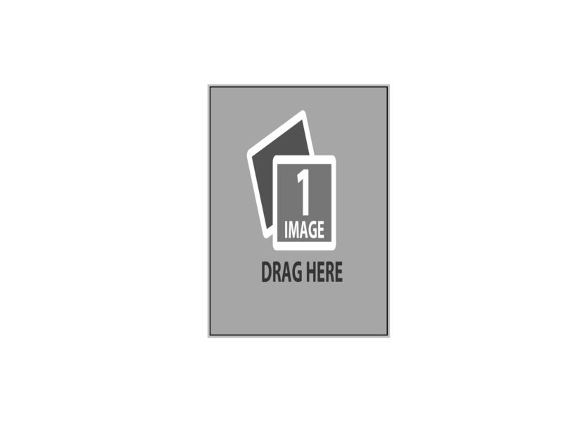 Grey and Black Thin Trims (White) Template