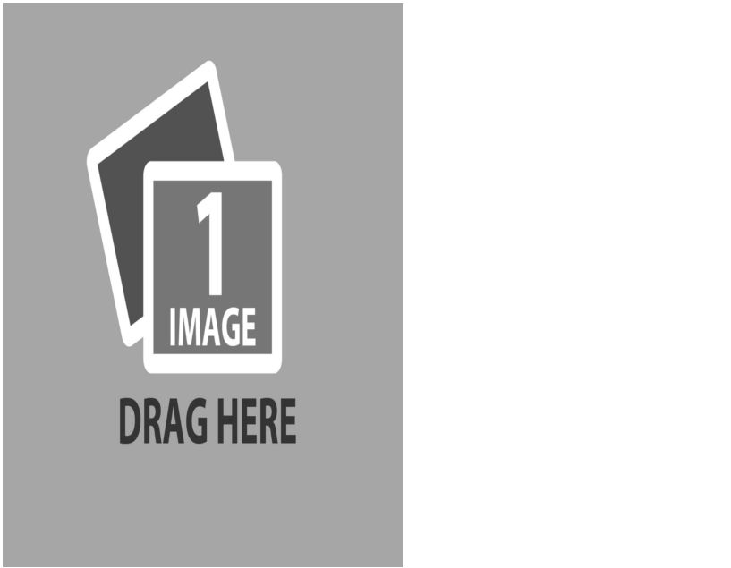 just a template template.pdf #28