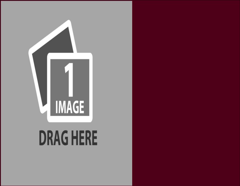 just a template template f.pdf #28