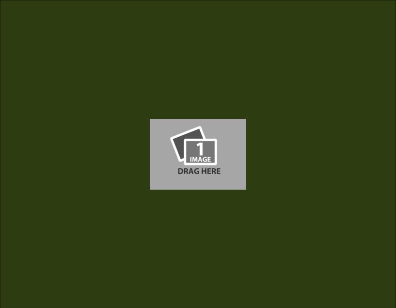 just a template template i.pdf #11