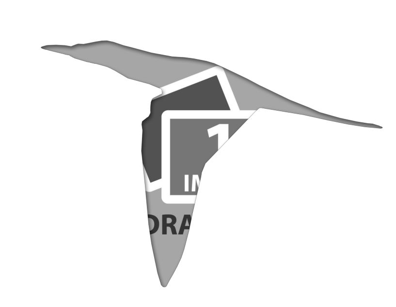 bird template pdf.pdf #7