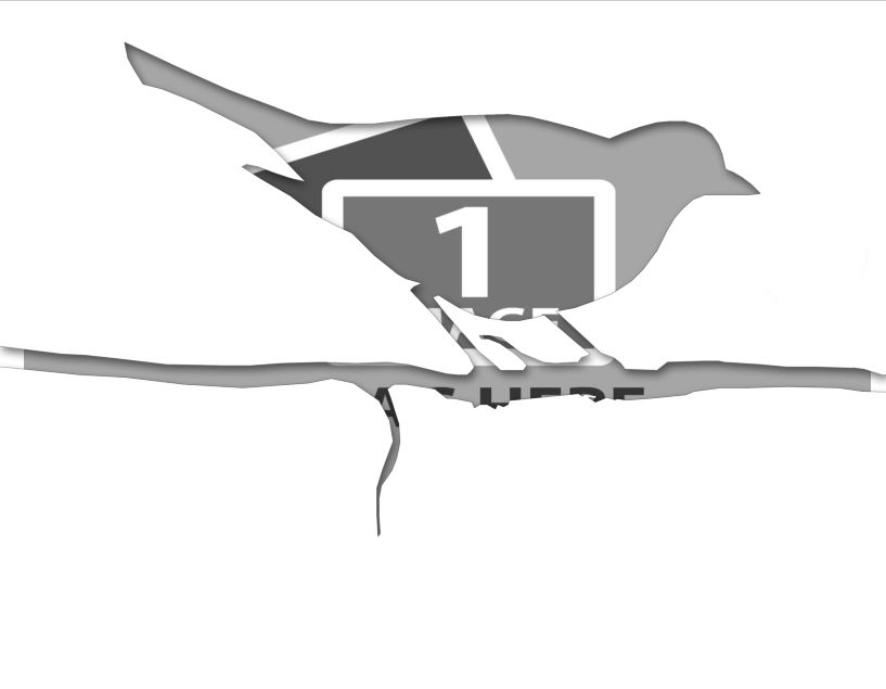 bird template pdf.pdf #15