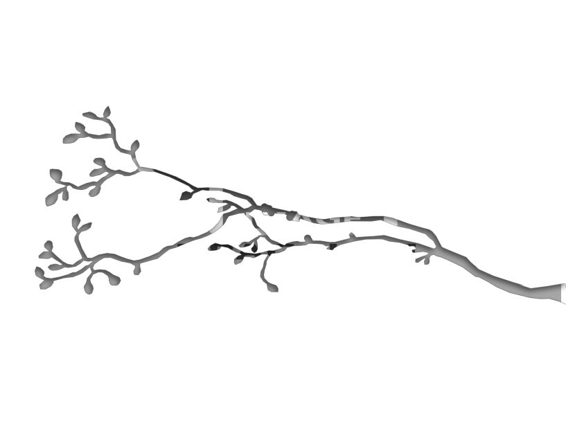 bird template pdf.pdf #17