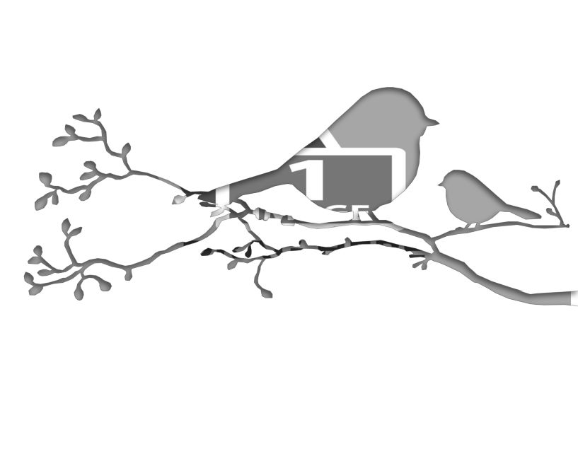 bird template pdf.pdf #18