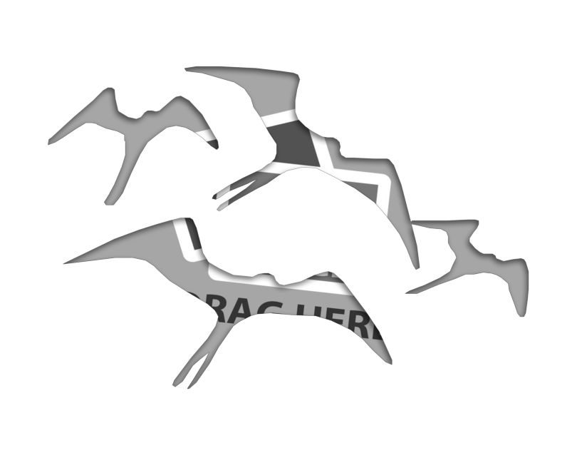 bird template pdf.pdf #27