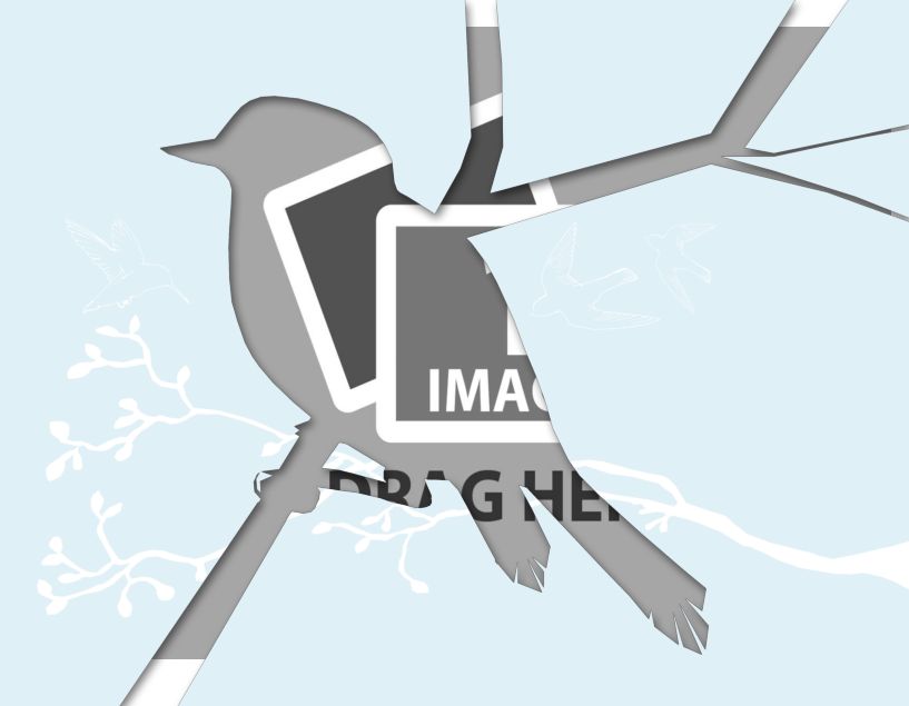 bird template pdf.pdf #31