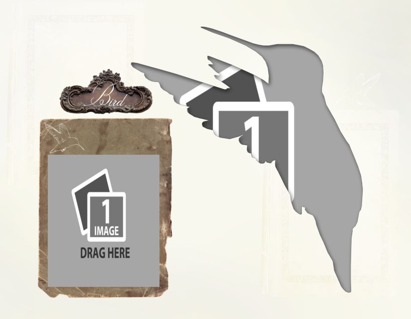 bird template pdf.pdf #39