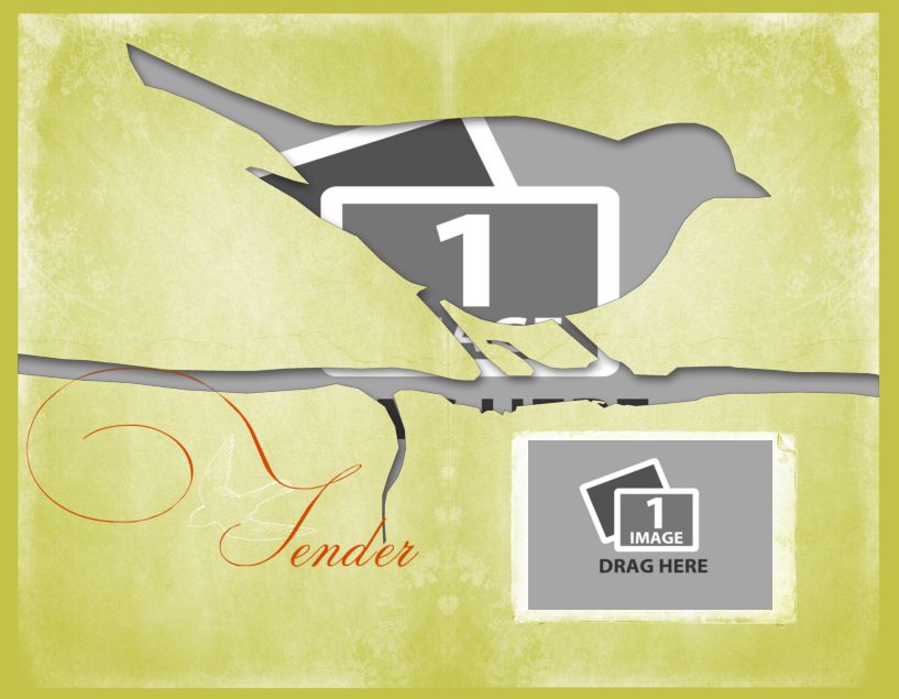 bird template pdf.pdf #41