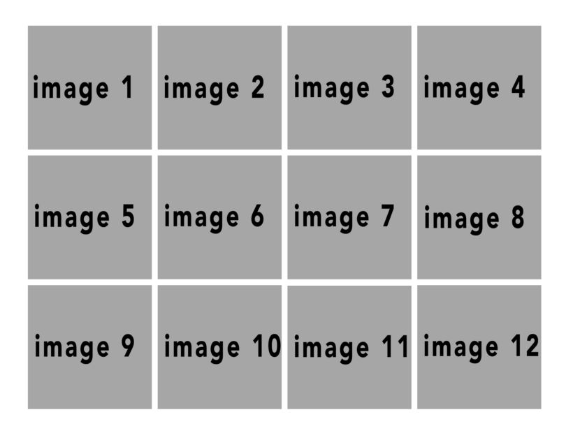 BasicNeutral 11x8.5 #10