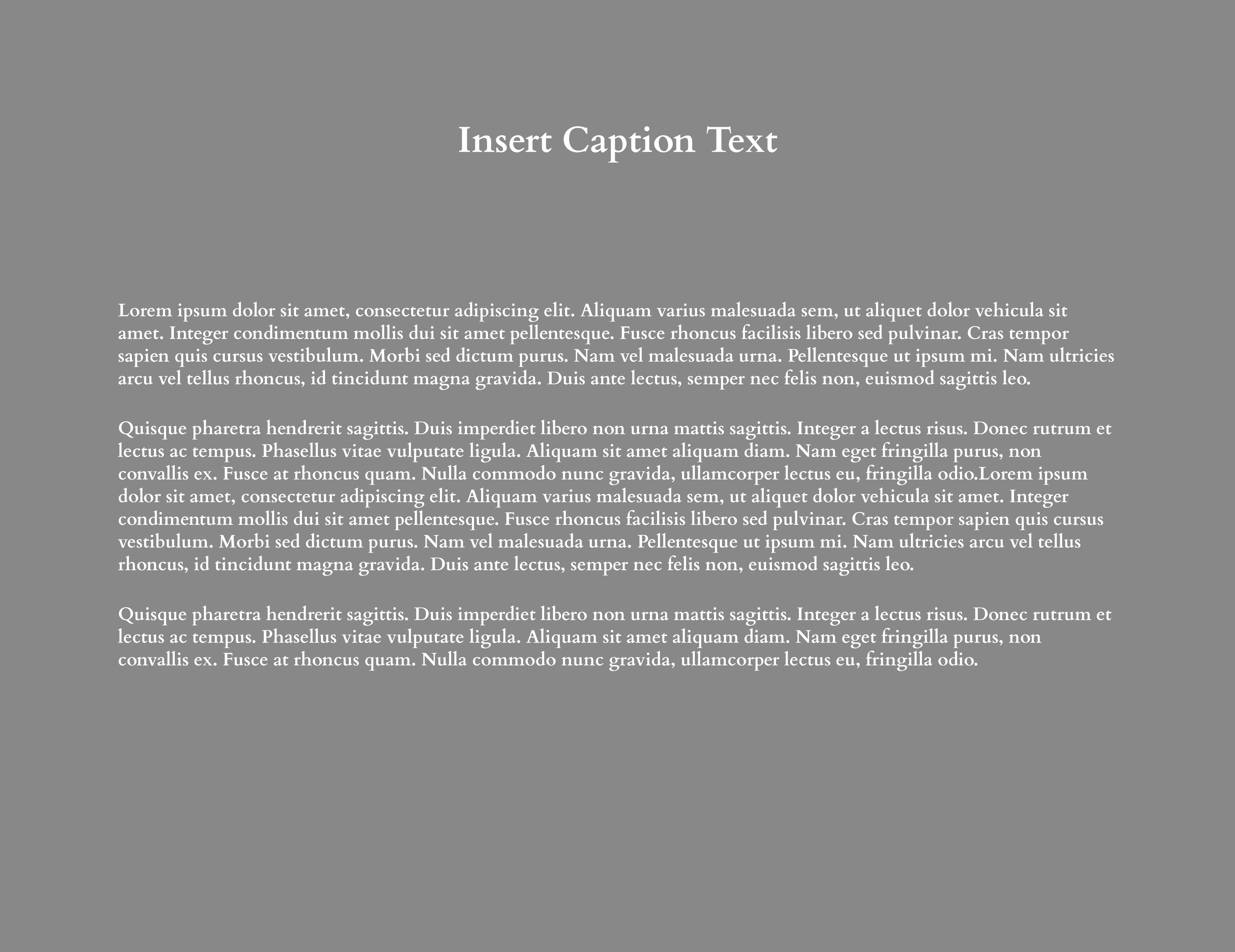 1 Column Text + Caption