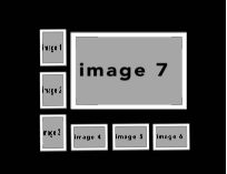 BlackandWhiteMulti #19