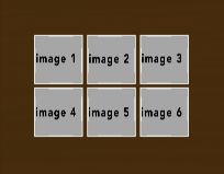 Wedding-seethru-brwn #15