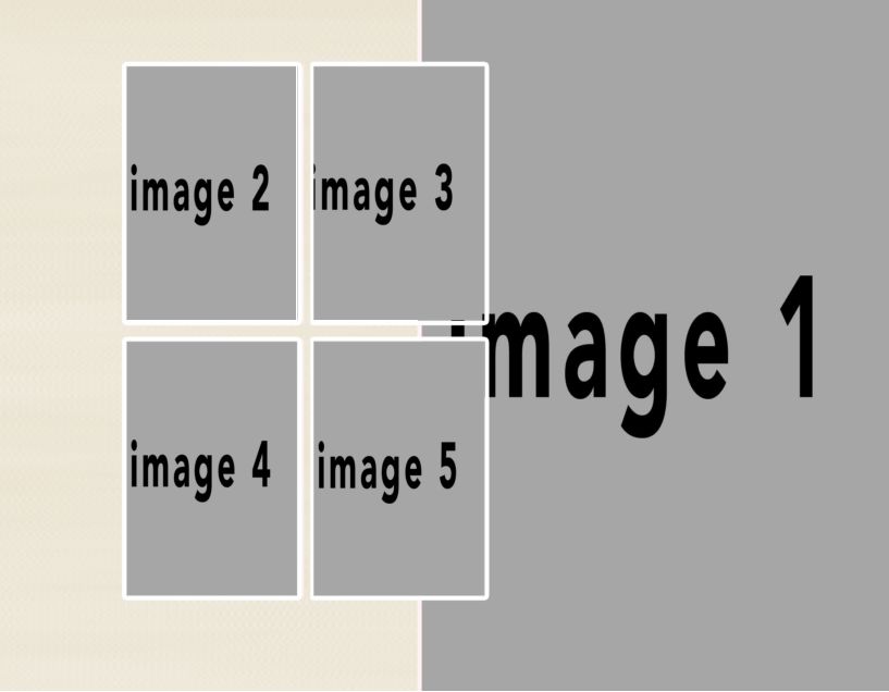 Wedding-seethru-beige #4