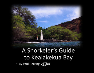 Kealakekua 11x8.5 v2d