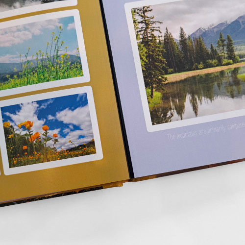 Hinge Color Color - Black