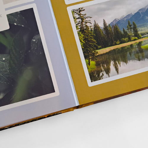 Hinge Color Color - White