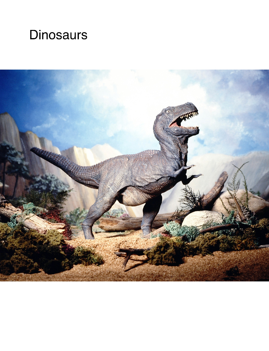 Dino 8.5x11
