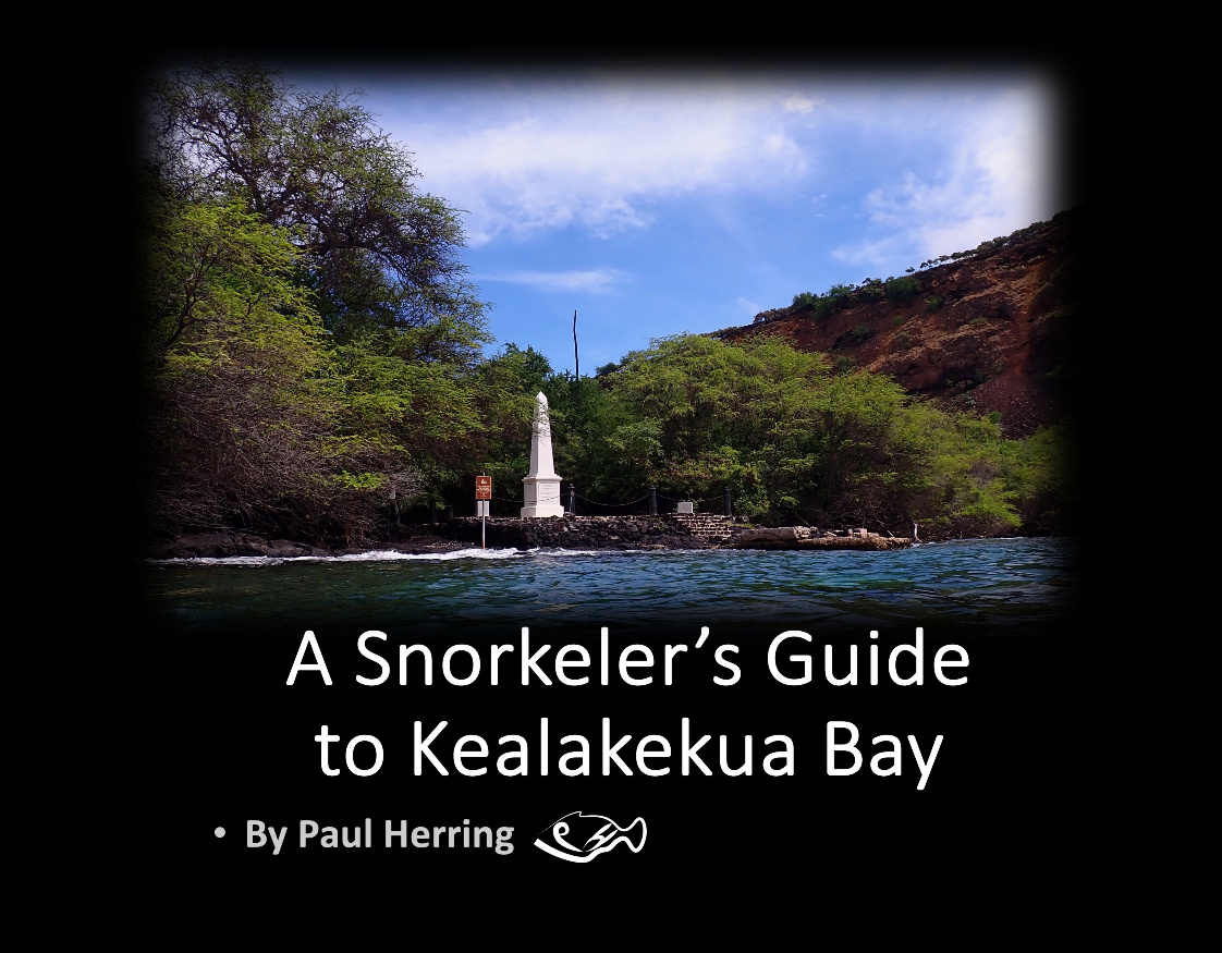 Kealakekua 11x8.5 v2d