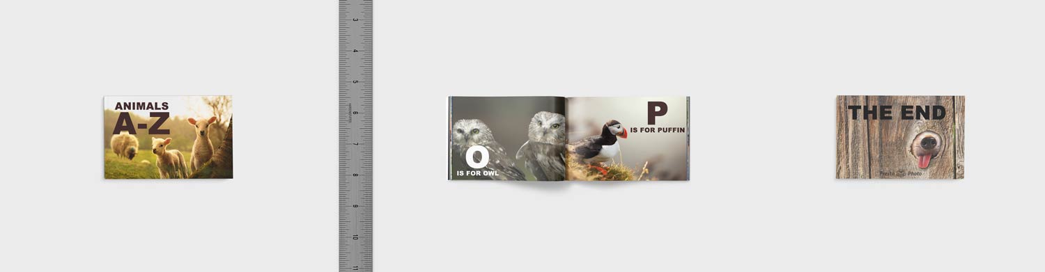 3.75x2.5 Mini Photo Book